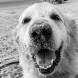 Entry image for Riggs