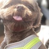 Entry image for Hershey 