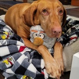 Entry image for Nellie