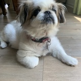 Entry image for Indy