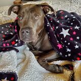 Entry image for Kodi