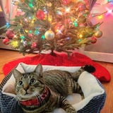 Entry image for Winston