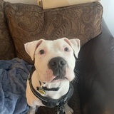 Entry image for Poseidon 