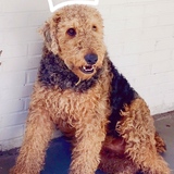 Entry image for Moses