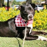 Entry image for Chance