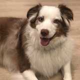 Entry image for Finn