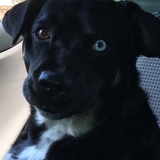 Entry image for Emmy