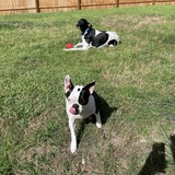 Entry image for Howard and Payton