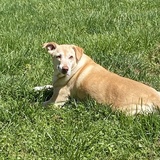 Entry image for Angel