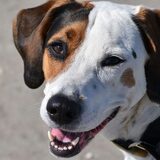 Entry image for Bettie