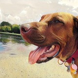 Entry image for Hitch