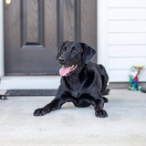 Entry image for Skeeter