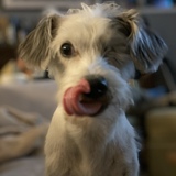 Entry image for One Eyed Jack