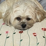 Entry image for Bentley 