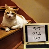 Entry image for Lucky