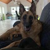 Entry image for Ilya William Naner Beans