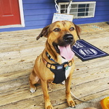 Entry image for Chicken Joe 