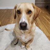 Entry image for Douglas 