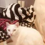 Entry image for Books