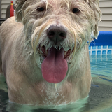 Entry image for Madolyn