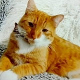 Entry image for Fred