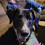 Entry image for Sawyer 