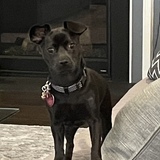 Entry image for Boo Kay