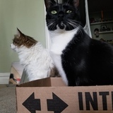 Entry image for La Lotería