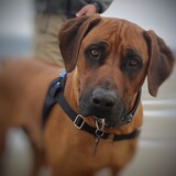 Entry image for Jeff