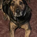 Entry image for Mojo