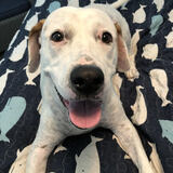 Entry image for Colby