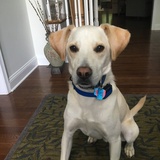 Entry image for Clark