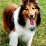 Entry image for Chloe