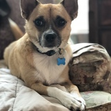 Entry image for Rocket 