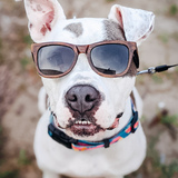 Entry image for Pancake