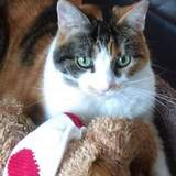 Entry image for Molly