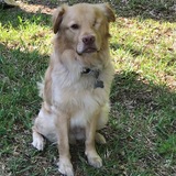 Entry image for Bentley