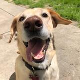 Entry image for Marty