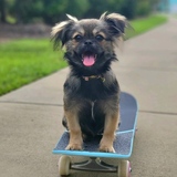 Entry image for Bailey