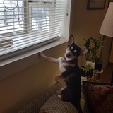 Entry image for Tiny