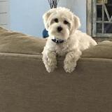 Entry image for Brady