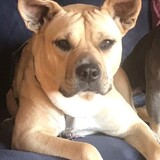 Entry image for Marcie