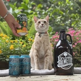 Entry image for Teddy