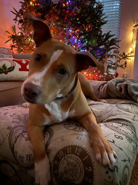 Entry image for Princess. Clicking this image will show a larger photo