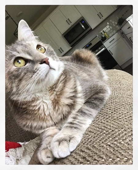 Entry image for June . Clicking this image will show a larger photo