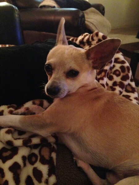 Entry image for Speedbump. Clicking this image will show a larger photo