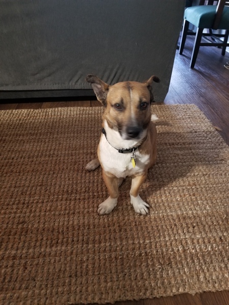 Entry image for Hansel. Clicking this image will show a larger photo