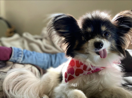 Entry image for Kizzy. Clicking this image will show a larger photo