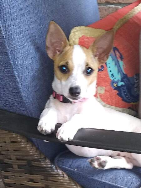 Entry image for Morgan Griffin. Clicking this image will show a larger photo