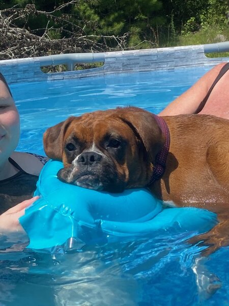 Entry image for Gwen. Clicking this image will show a larger photo